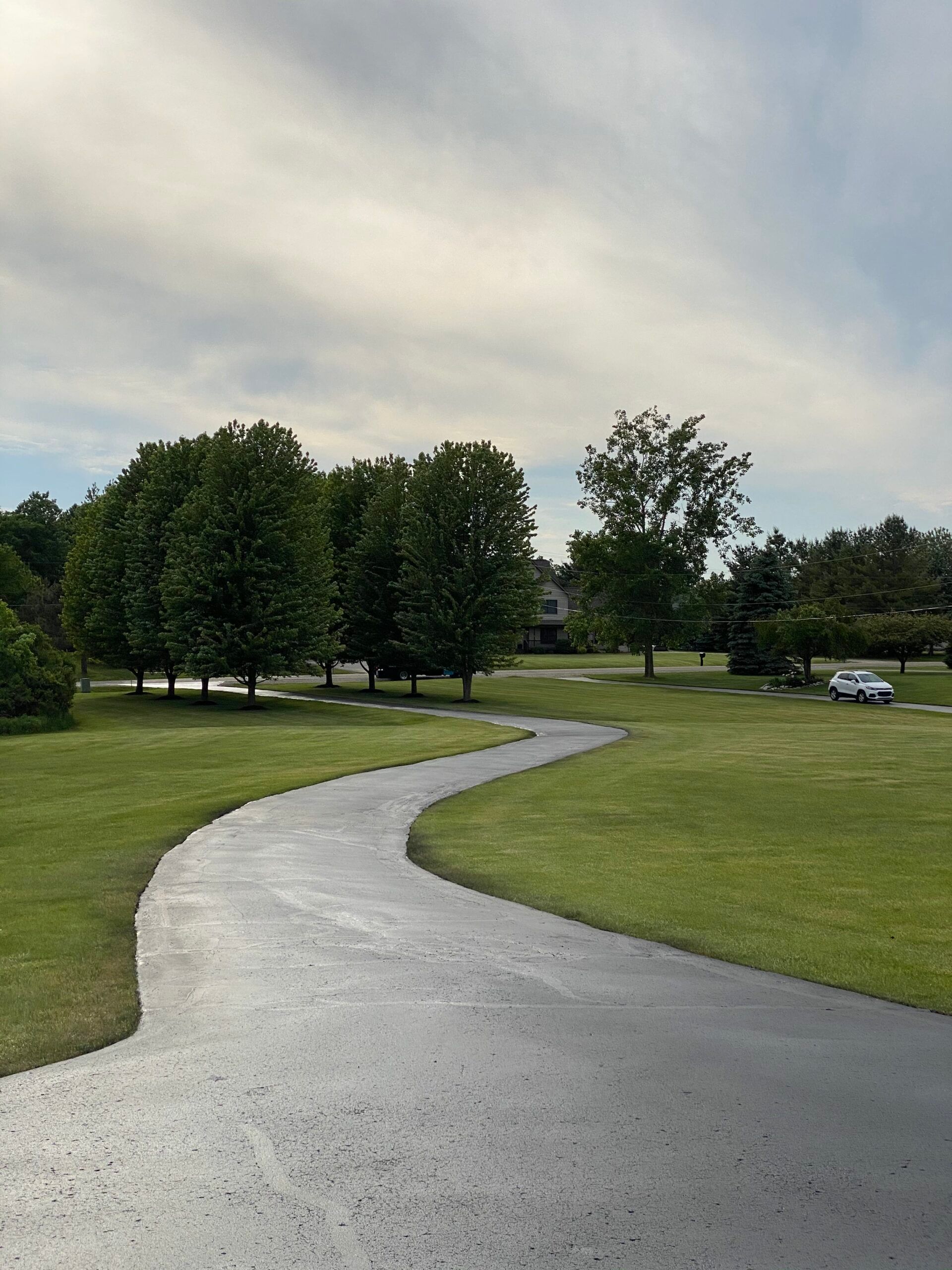 A curvy road going through a grassy field with trees on both sides.