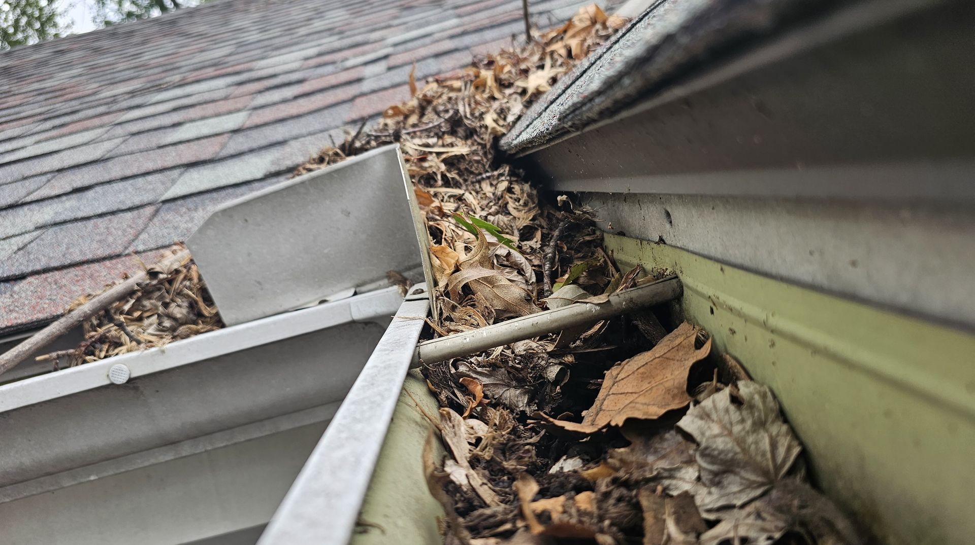 A gutter filled with leaves and dirt on the side of a house.