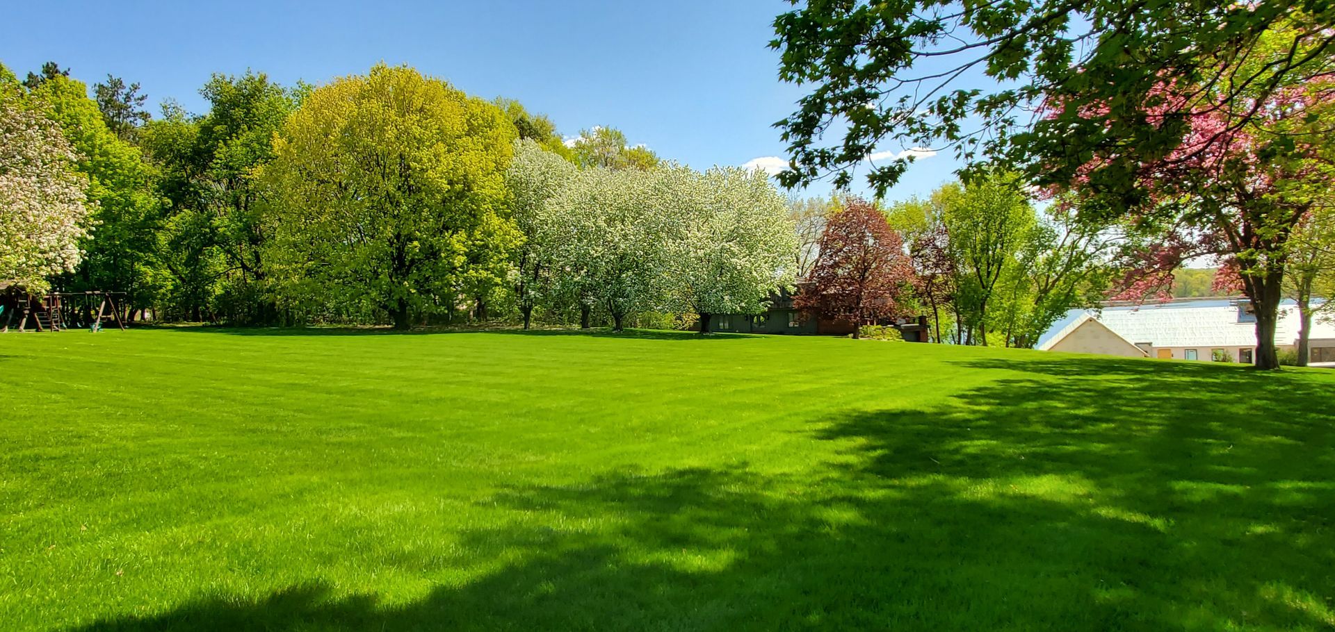 cutting edge lawn care