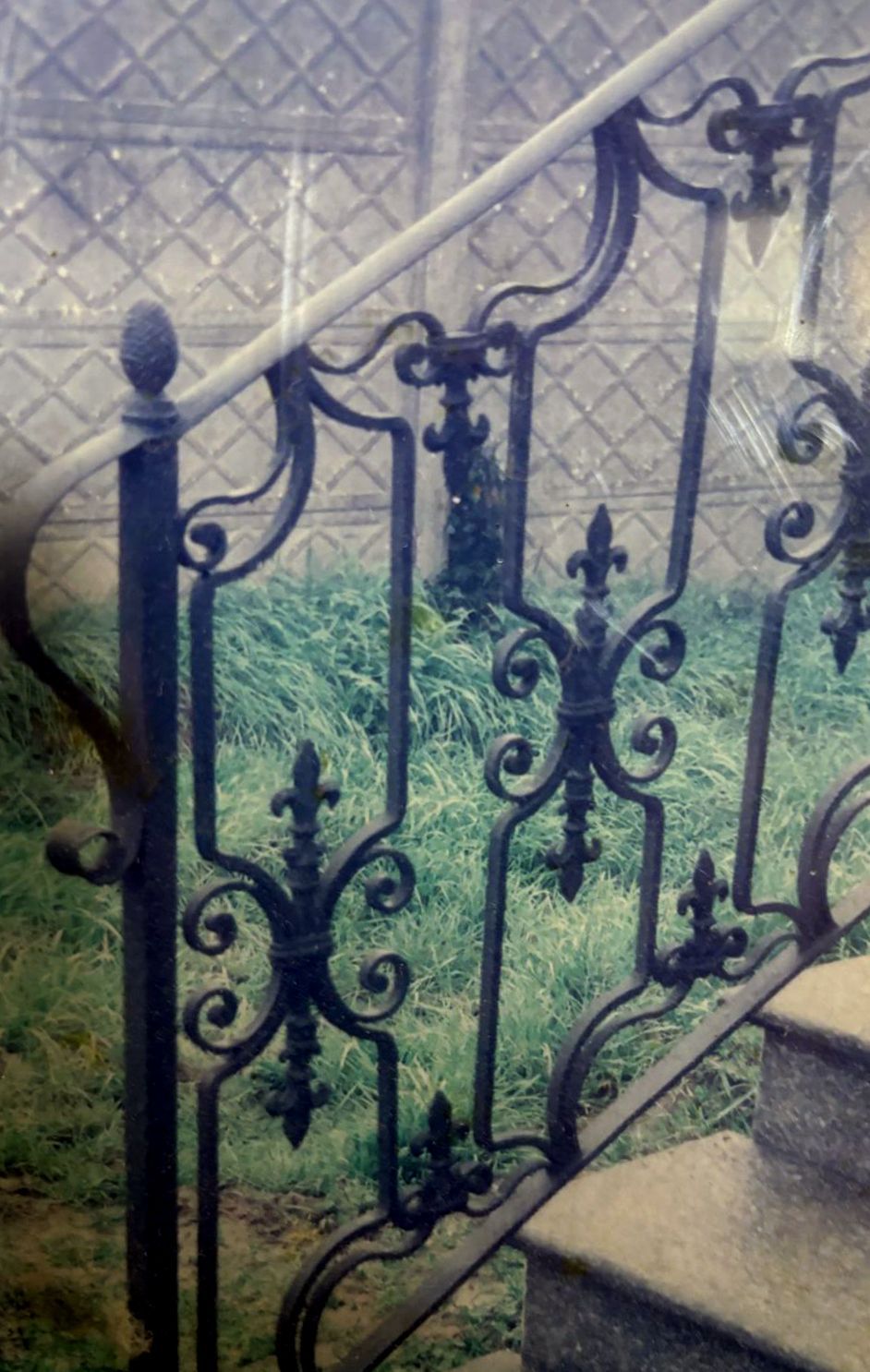 Ringhiera per scale in ferro battuto nero, decorata con motivi a giglio, situata all'esterno vicino a gradini in pietra.