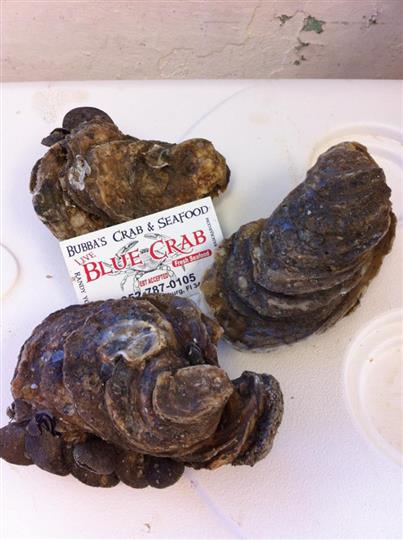 Seafood Clamps — Leesburg, FL — Bubba’s Crab & Seafood