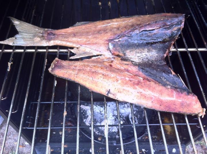 Grilled Fish — Leesburg, FL — Bubba’s Crab & Seafood