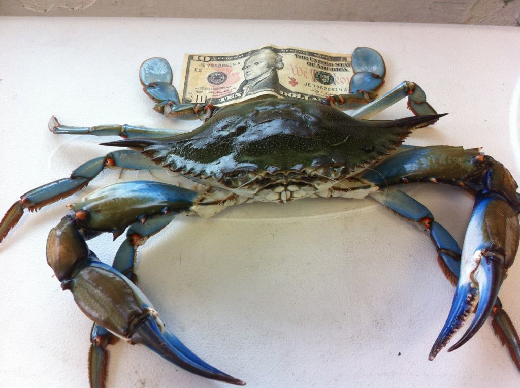 Crab With Money On The Top — Leesburg, FL — Bubba’s Crab & Seafood