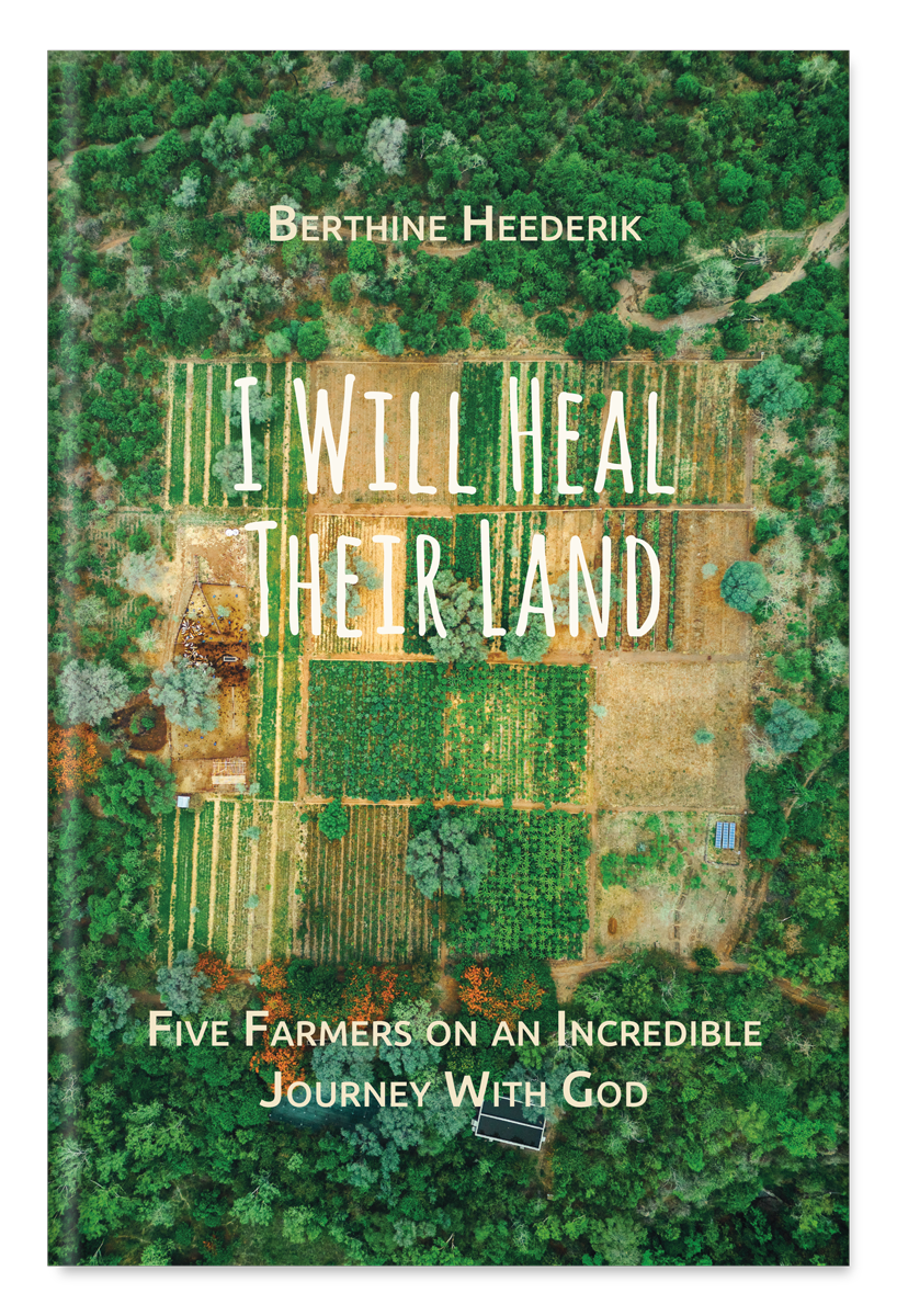 EBOOK (PDF) EBOOK (PDF)