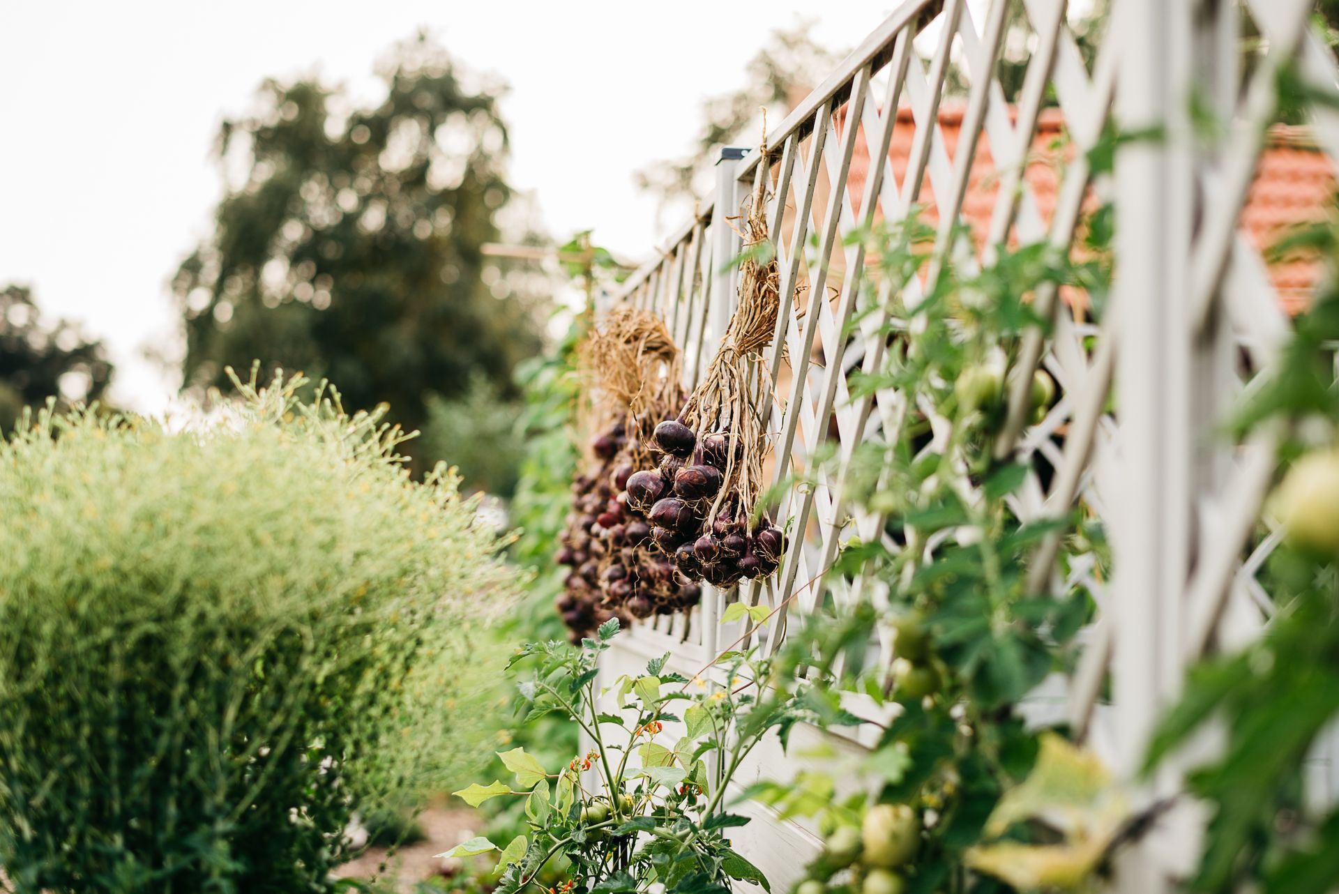 Photo by: Rinke Heederik