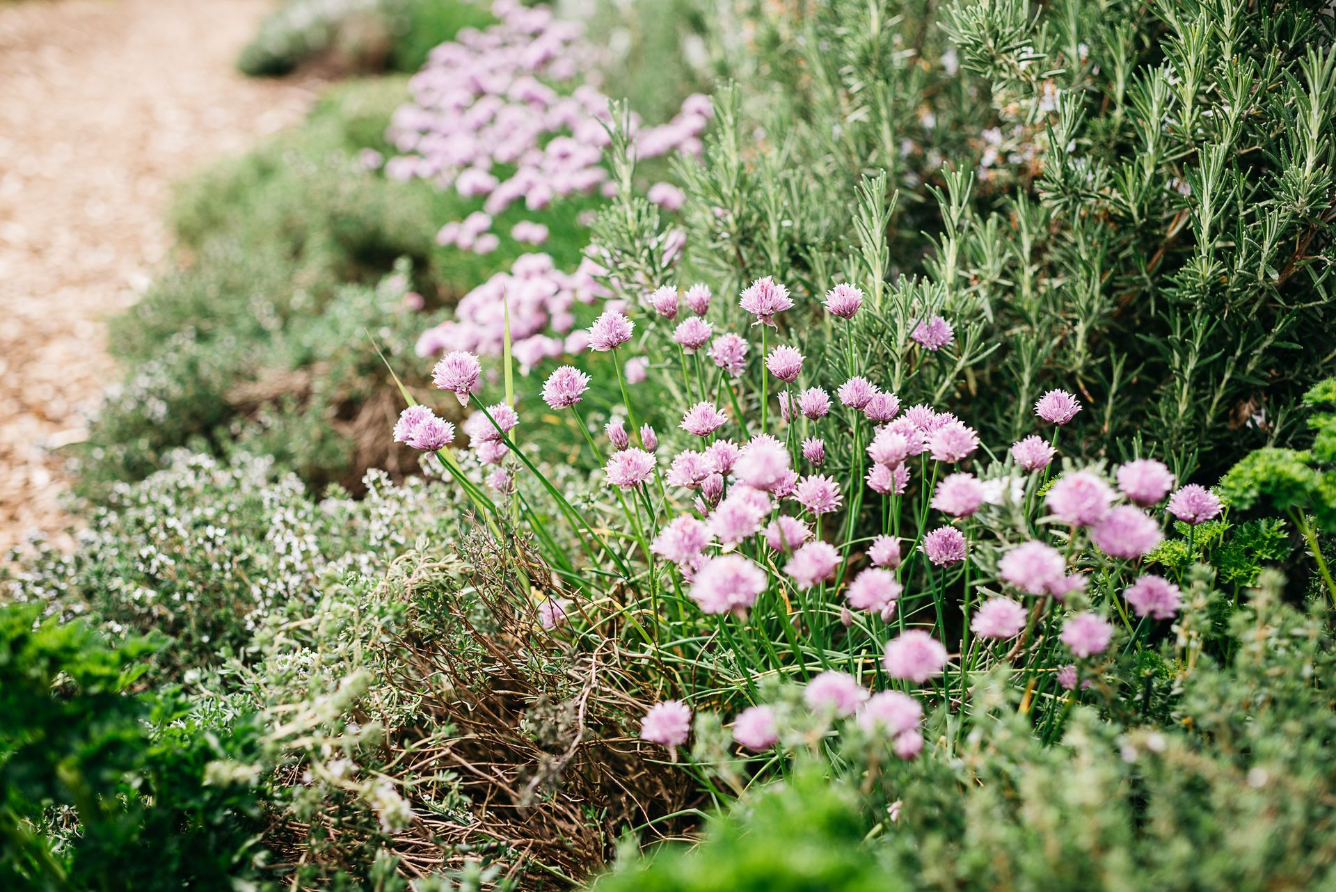 Photo by: Rinke Heederik