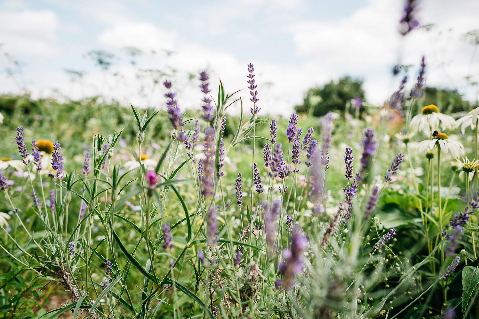 Photo by: Rinke Heederik