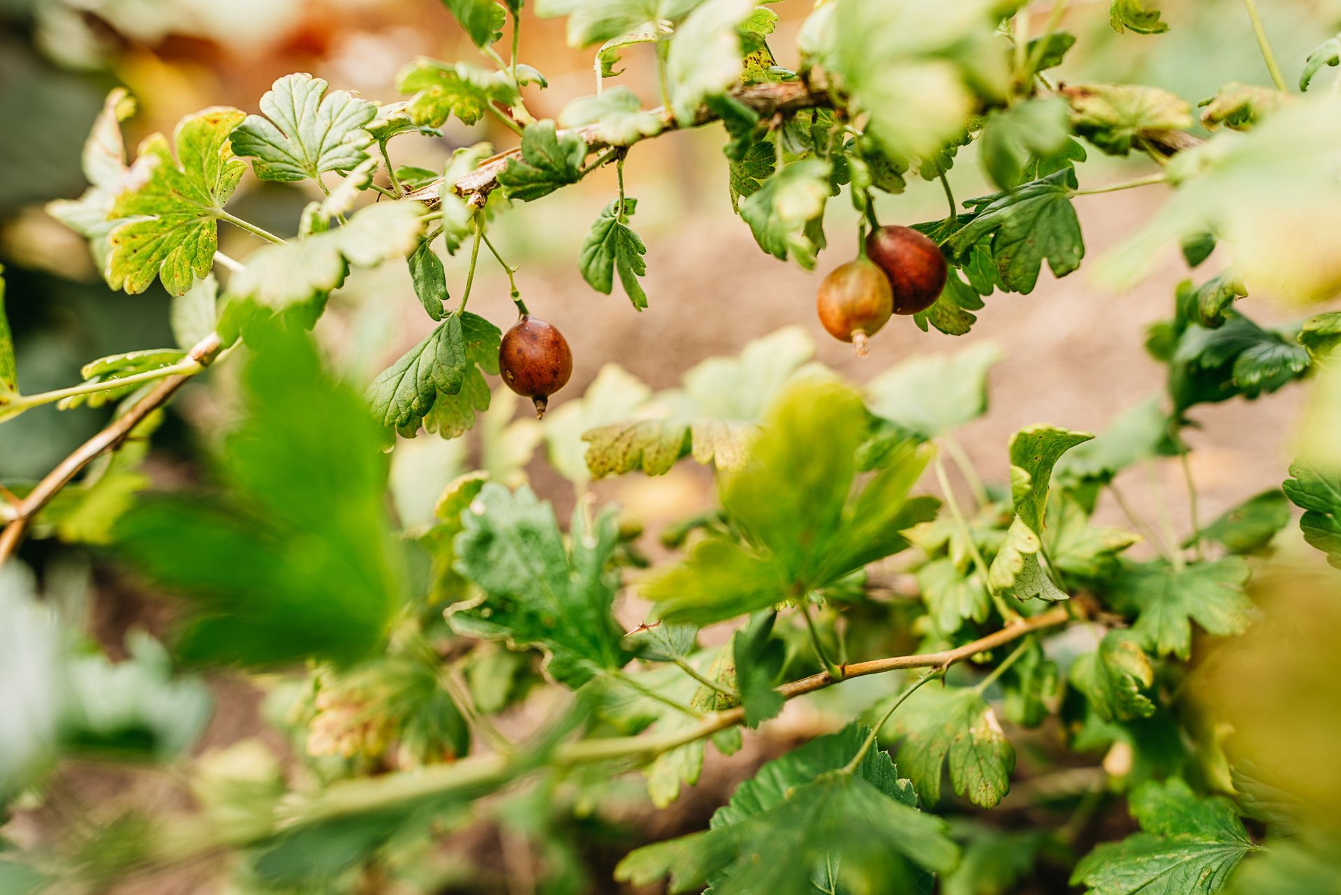 Photo by: Rinke Heederik