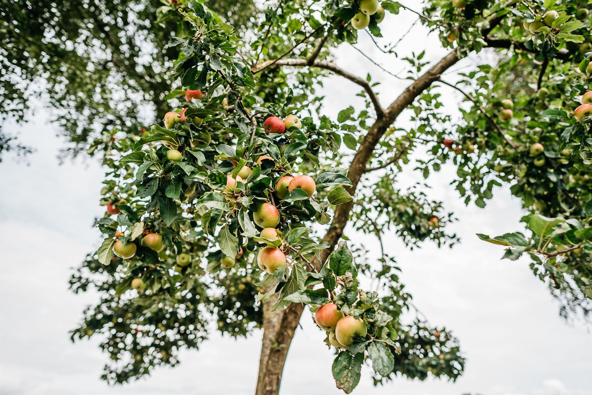 Photo by: Rinke Heederik