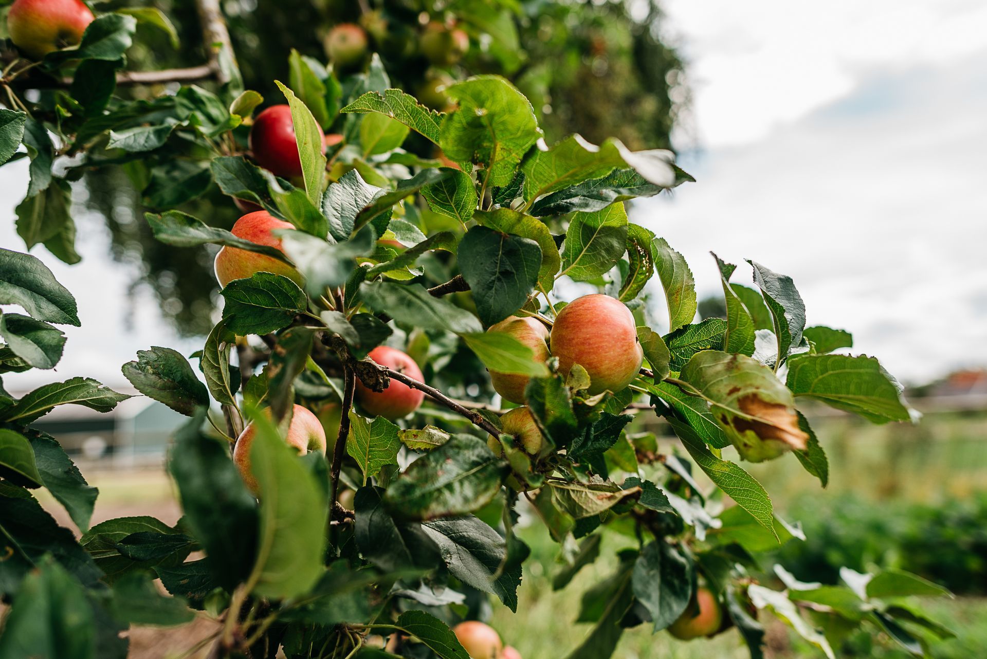 Photo by: Rinke Heederik