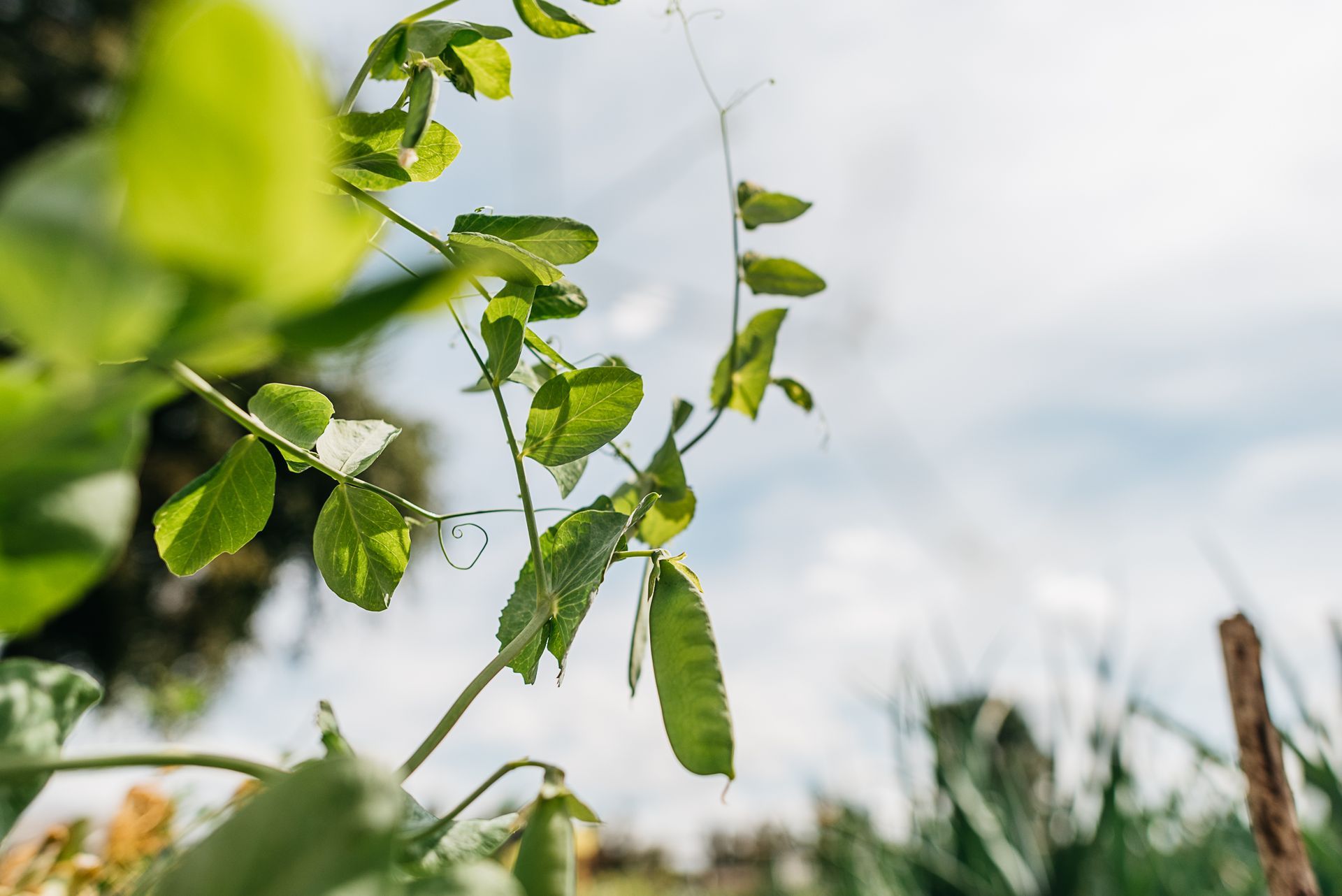 Photo by: Rinke Heederik