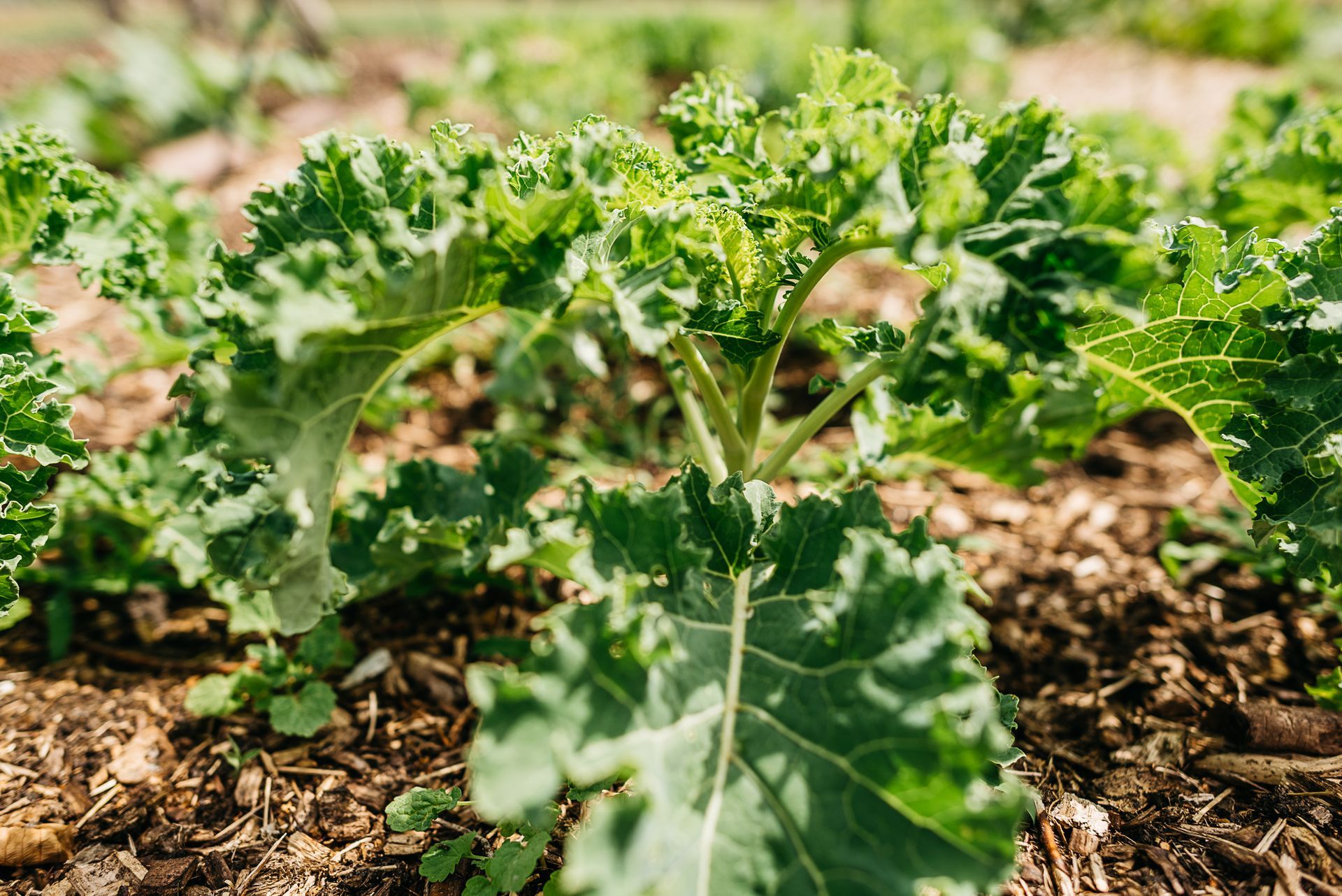 Photo by: Rinke Heederik