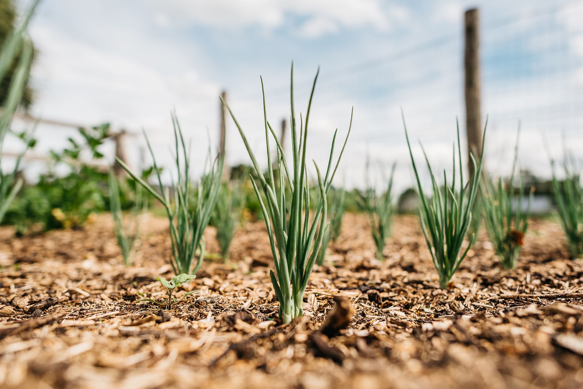 Photo by: Rinke Heederik