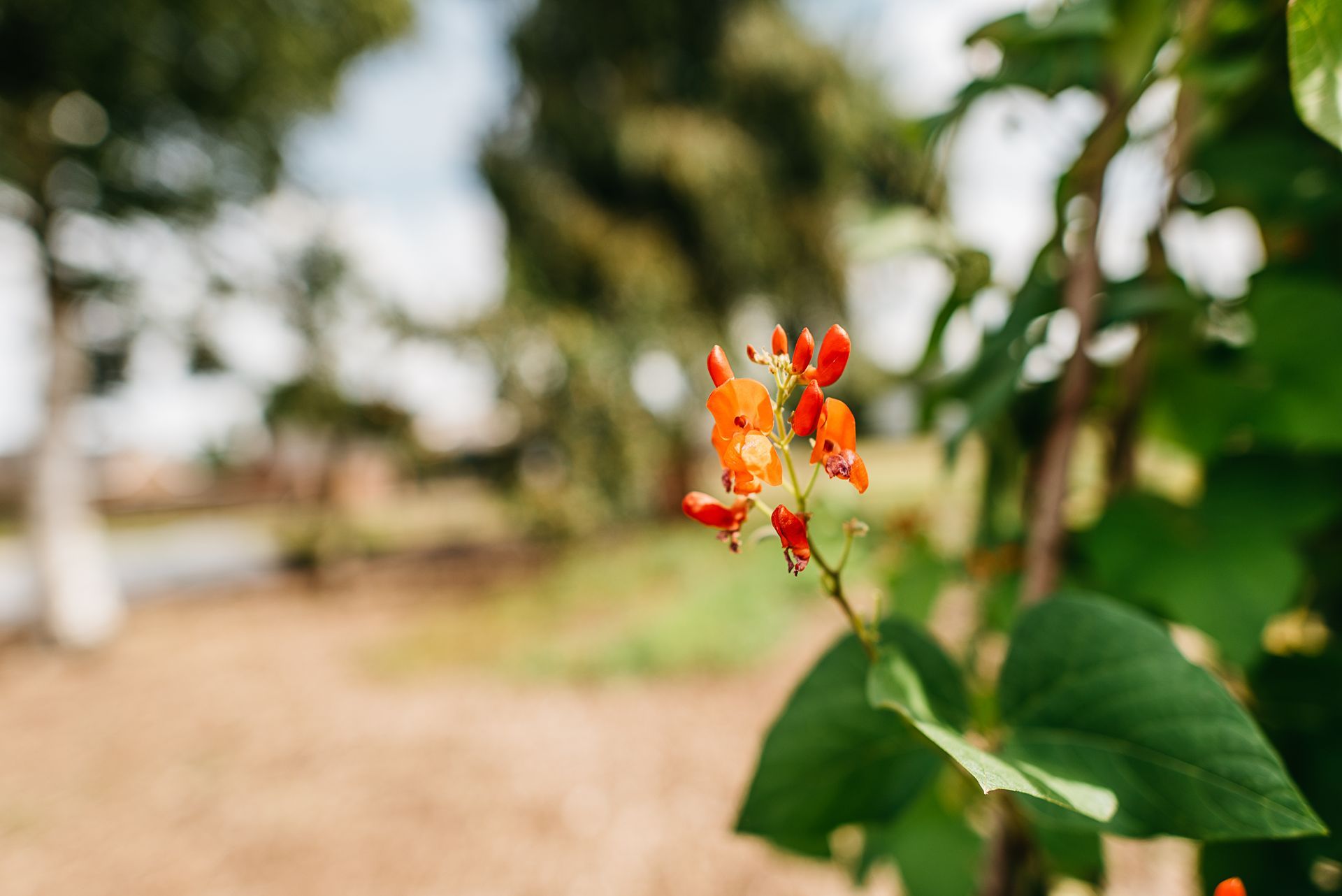 Photo by: Rinke Heederik