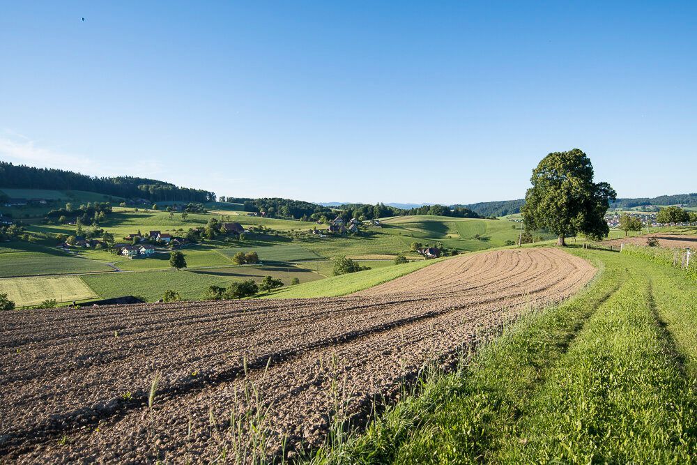 Michael Wüthrich - Fotos aus dem Oberaargau und Emmental