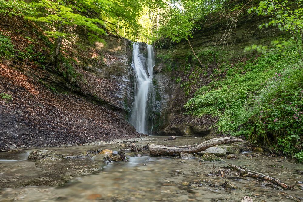 Puzzle Mutzbachgraben