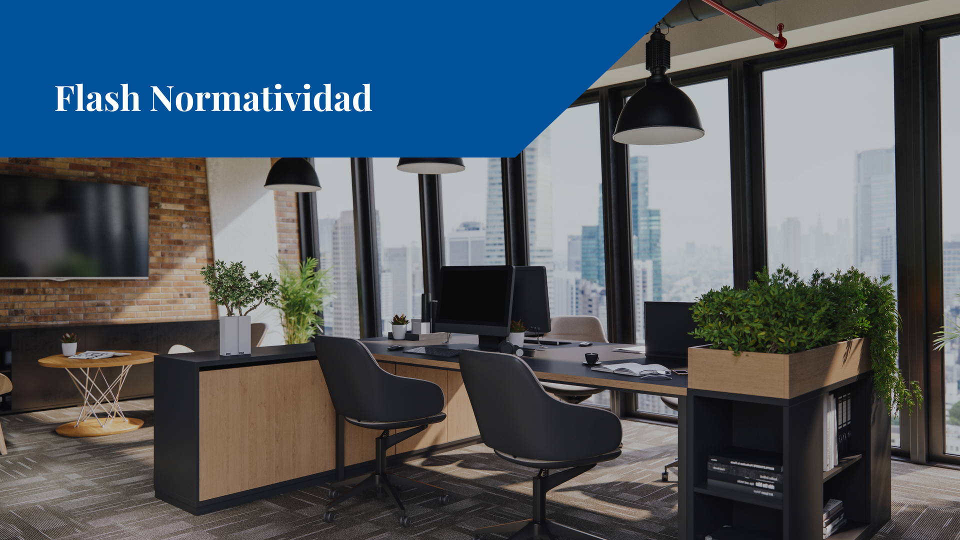 Revelaciones Revisadas bajo las Normas de Información Financiera Mexicanas (NIFM)