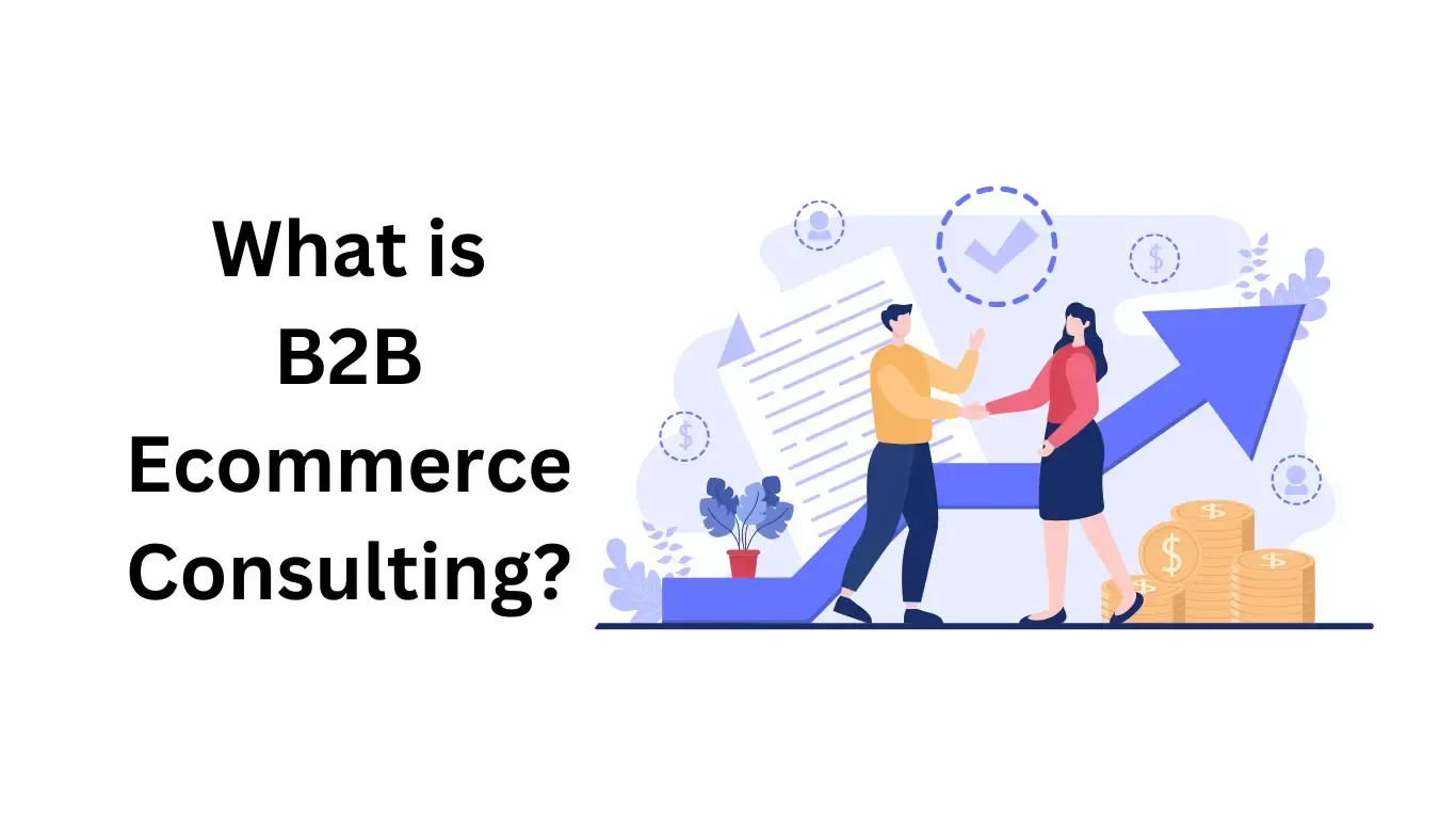 what is b2b ecommerce consulting - alterior digital