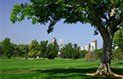 park