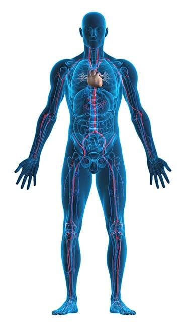 CENTRO EN MEDICINA PREVENTIVA - Medicina interna