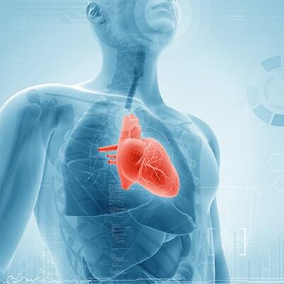 CENTRO EN MEDICINA PREVENTIVA - Enfermedades del corazón
