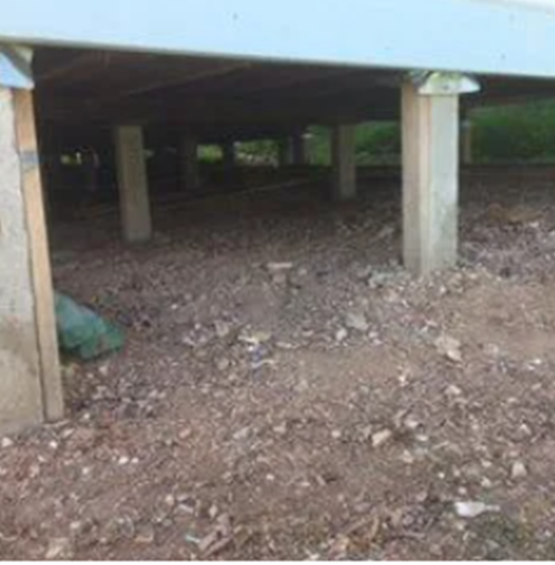 View of timbers stumps under a house, showcasing residential restumping.