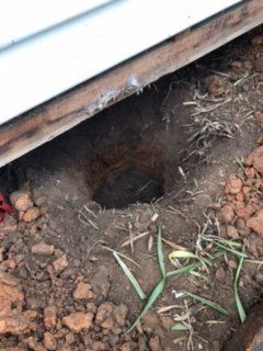 There is a hole in the ground under a house.