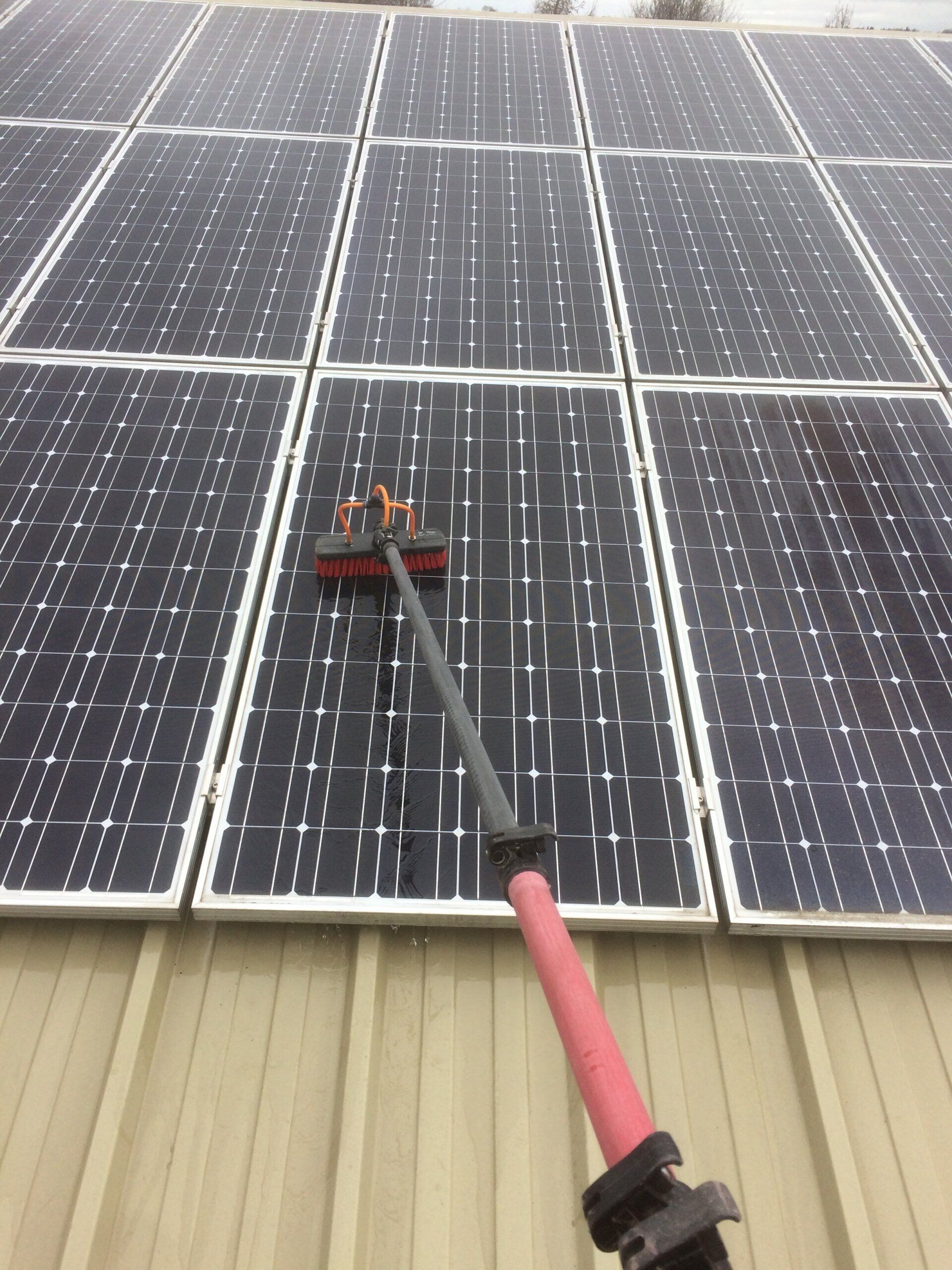 Solar Panel Cleaning