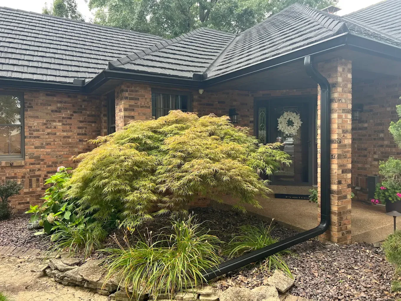 A tan brick house with a dark shingle roof, a Japanese maple bush in the front yard, and a black gutter downspout.