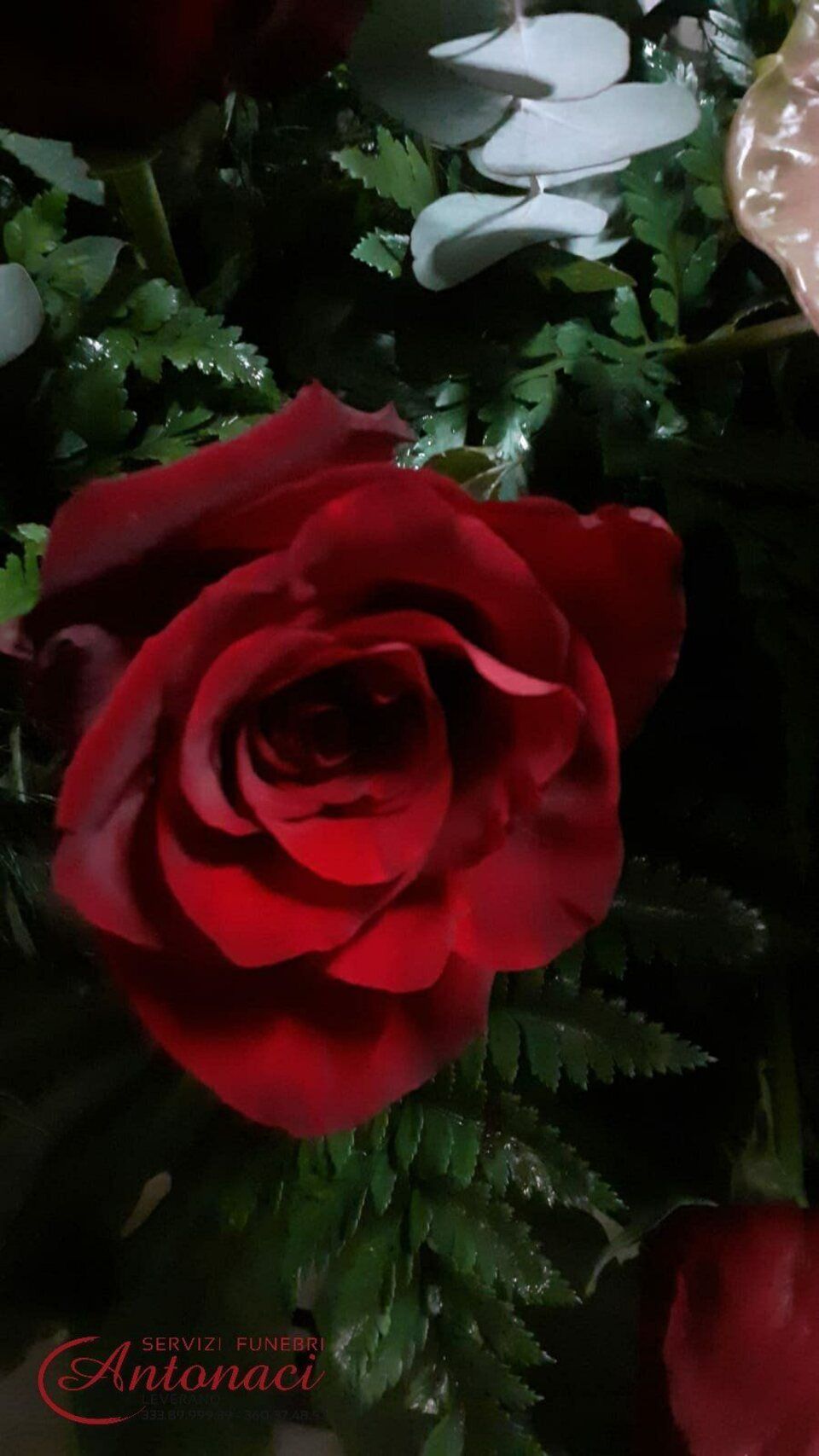 fiori dell'agenzia di servizi funebri a Leverano