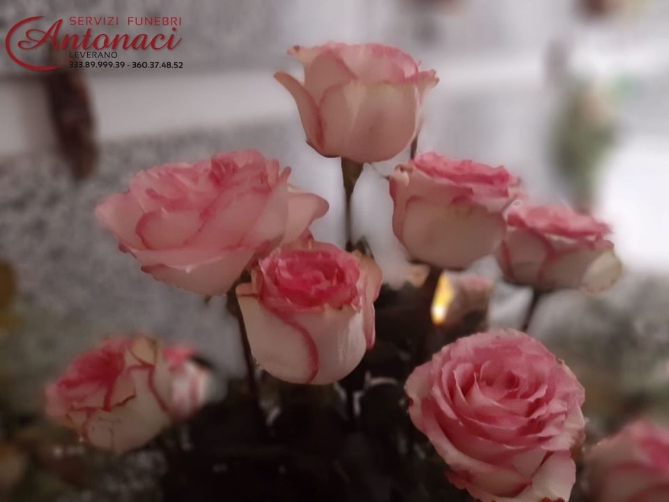 allestimento dell'agenzia di servizi funebri a Leverano