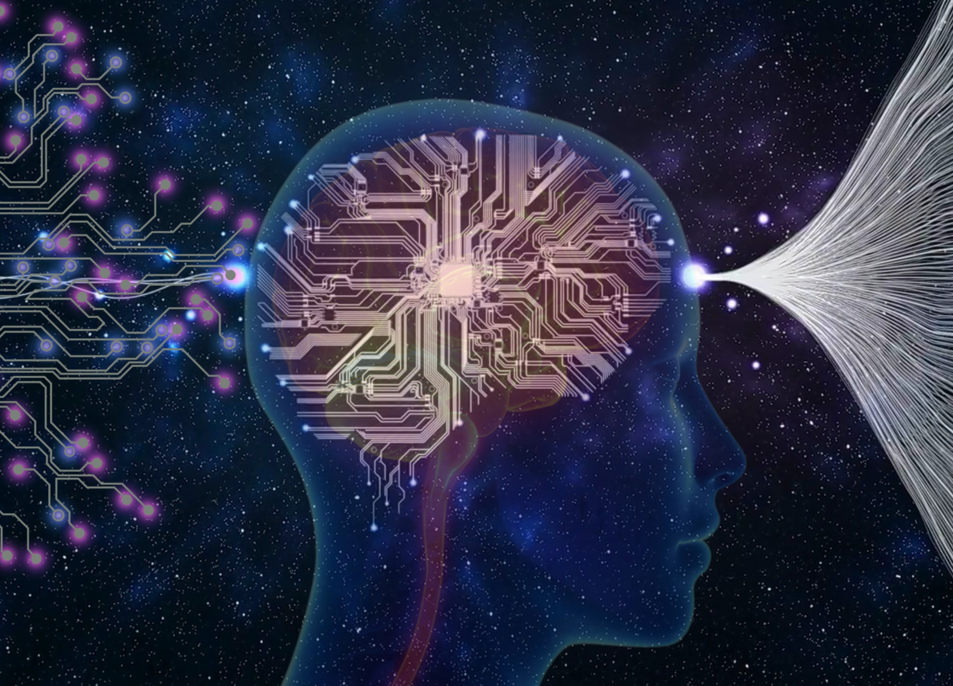 A computer generated image of a human head with a circuit board in it.