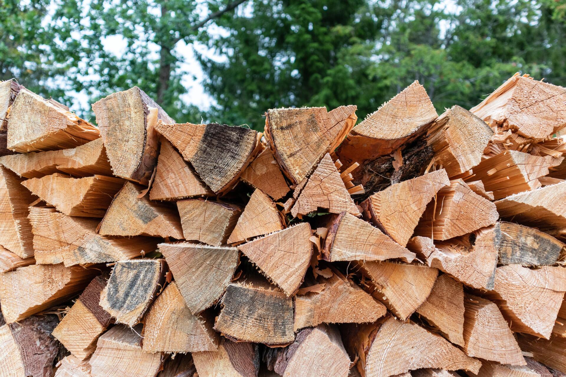 Stack of firewood logs, natural woodpile in an outdoor setting.