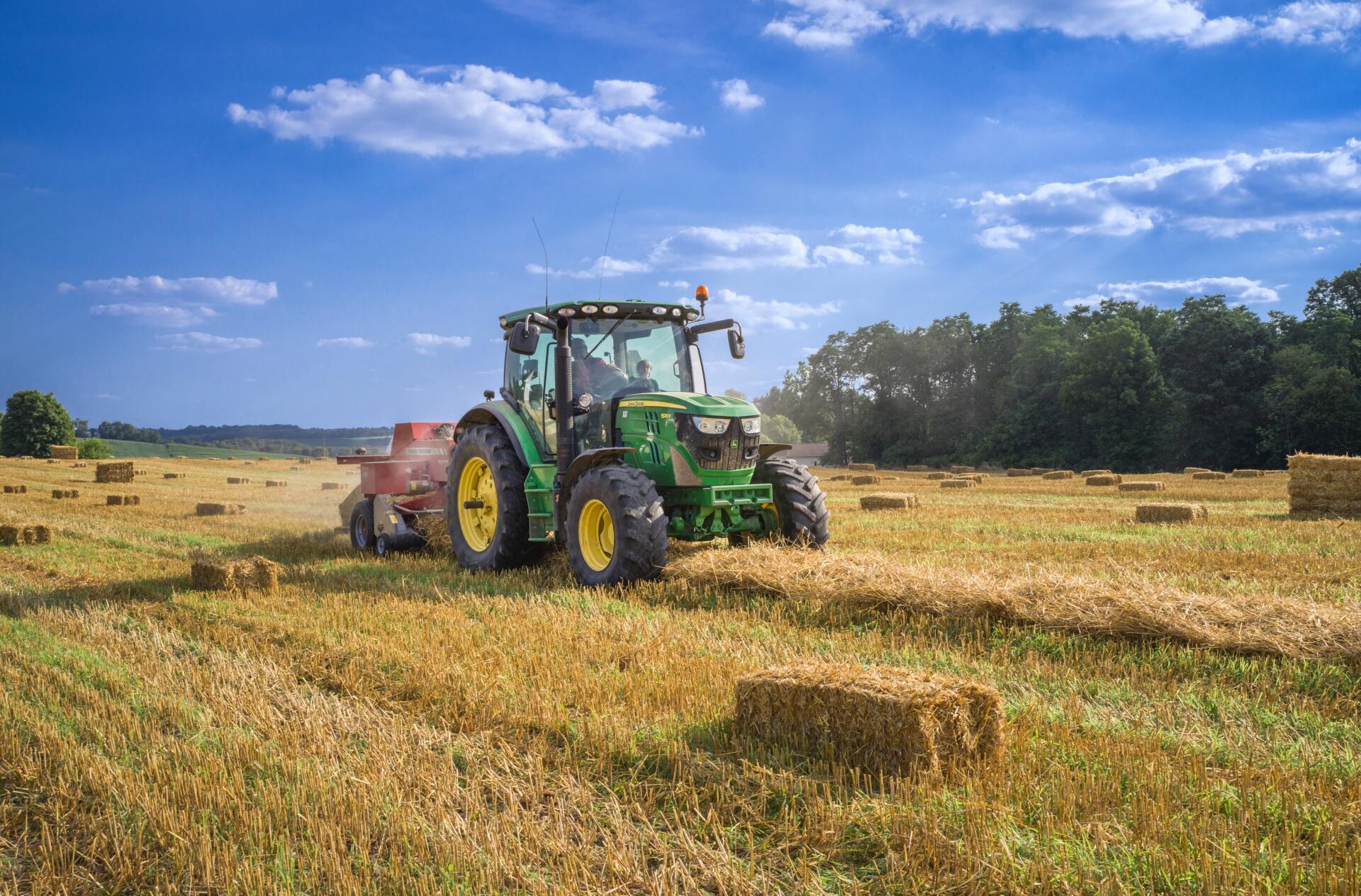 Grass brush hogging in action, with a specialized machine cutting and clearing tall grass and vegetation in a field.