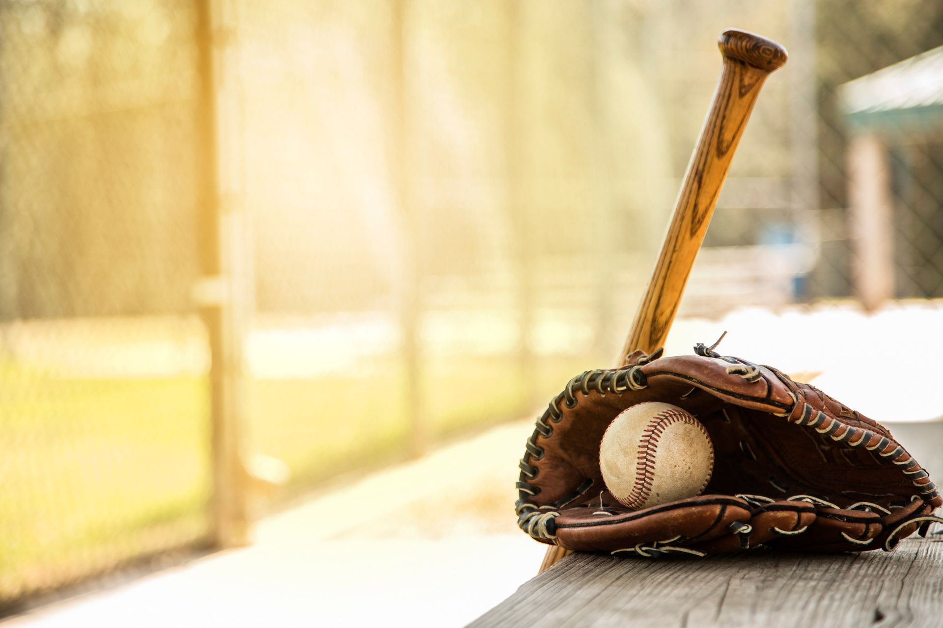 Wooden bat, glove, and ball showcasing sport memorabilia on a sunlit dugout bench.