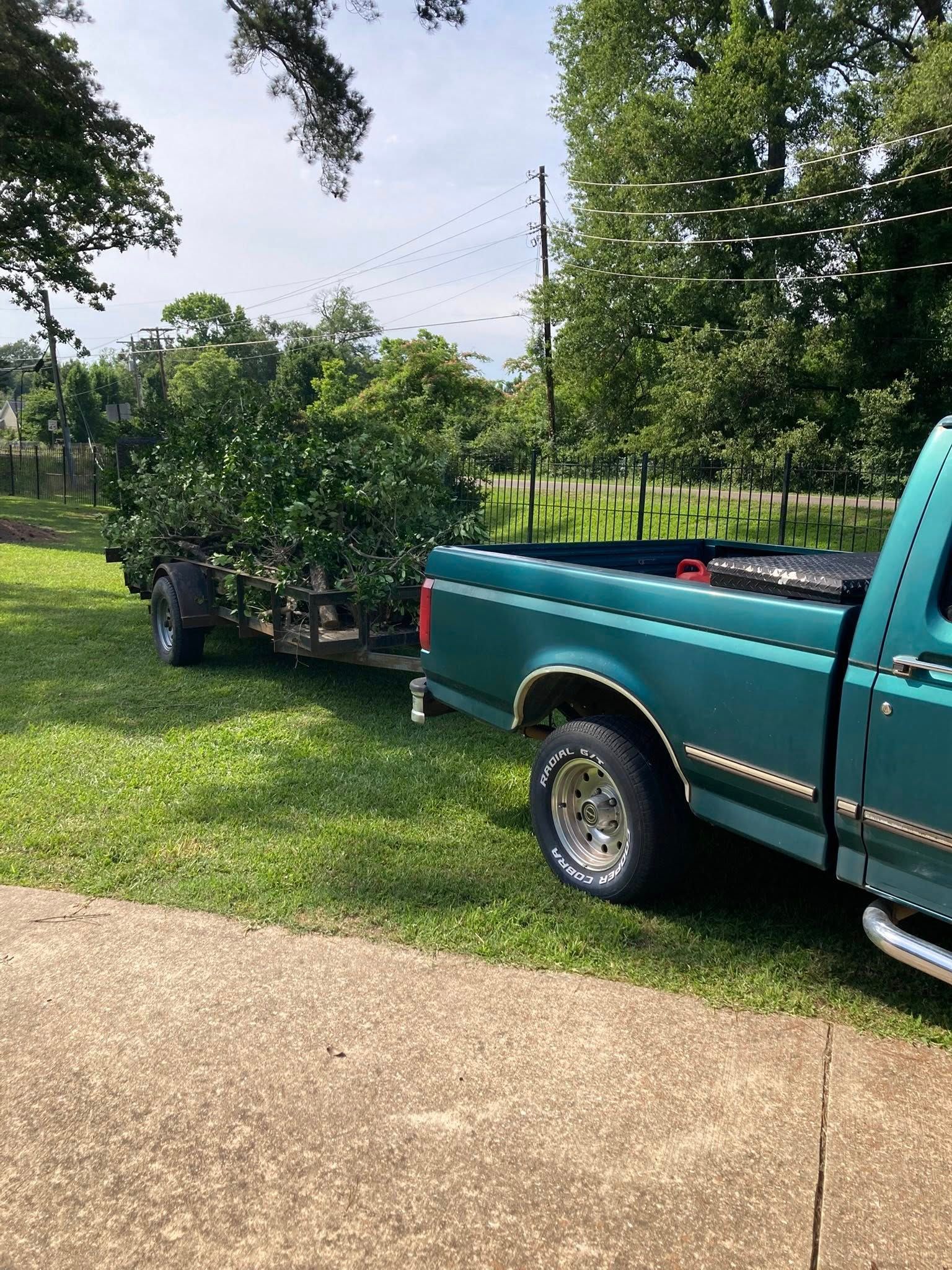 A teal pickup truck parked on a grassy lawn, pulling a flatbed trailer loaded with leafy green brush and branches.