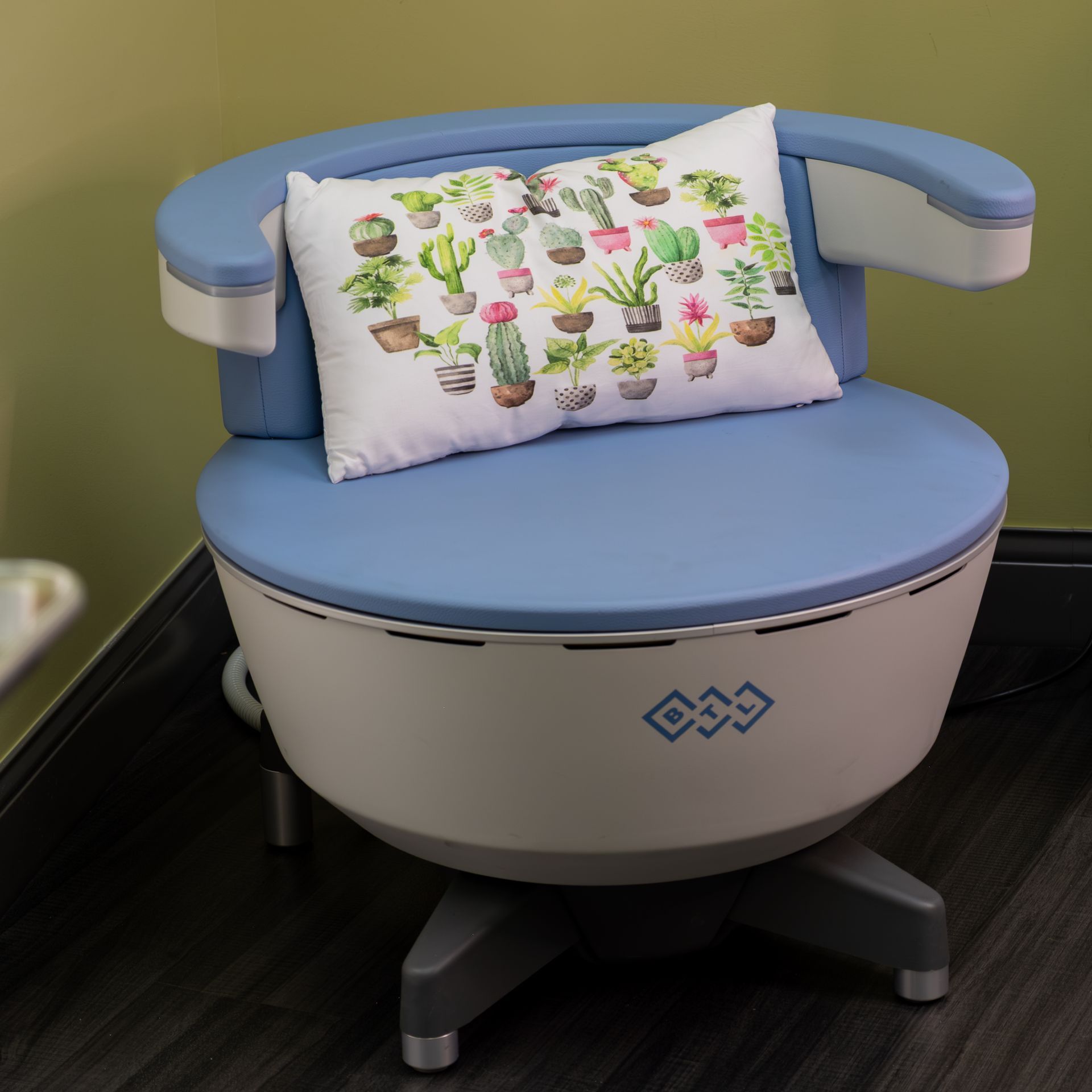 A chair with a pillow on it that has cactus on it