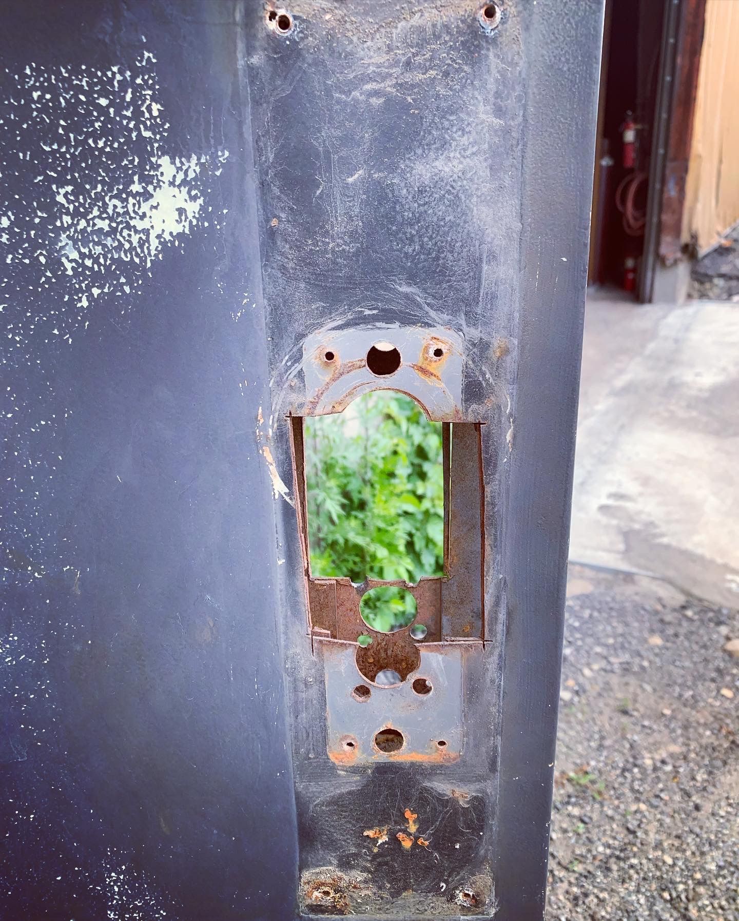 A green plant is growing out of a hole in a wall