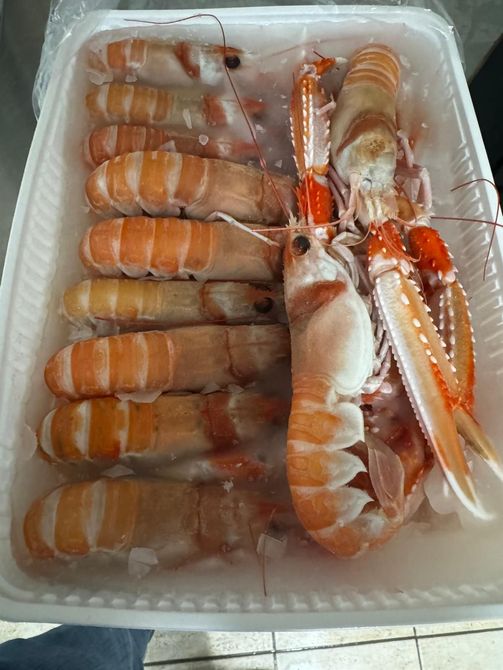 Caponata di melanzane in una ciotola verde acqua, guarnita con menta e pinoli.