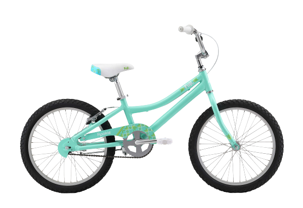 Fuji Rookie 20” Girl  — Lynnwood, WA — Harvy's Bike Shop