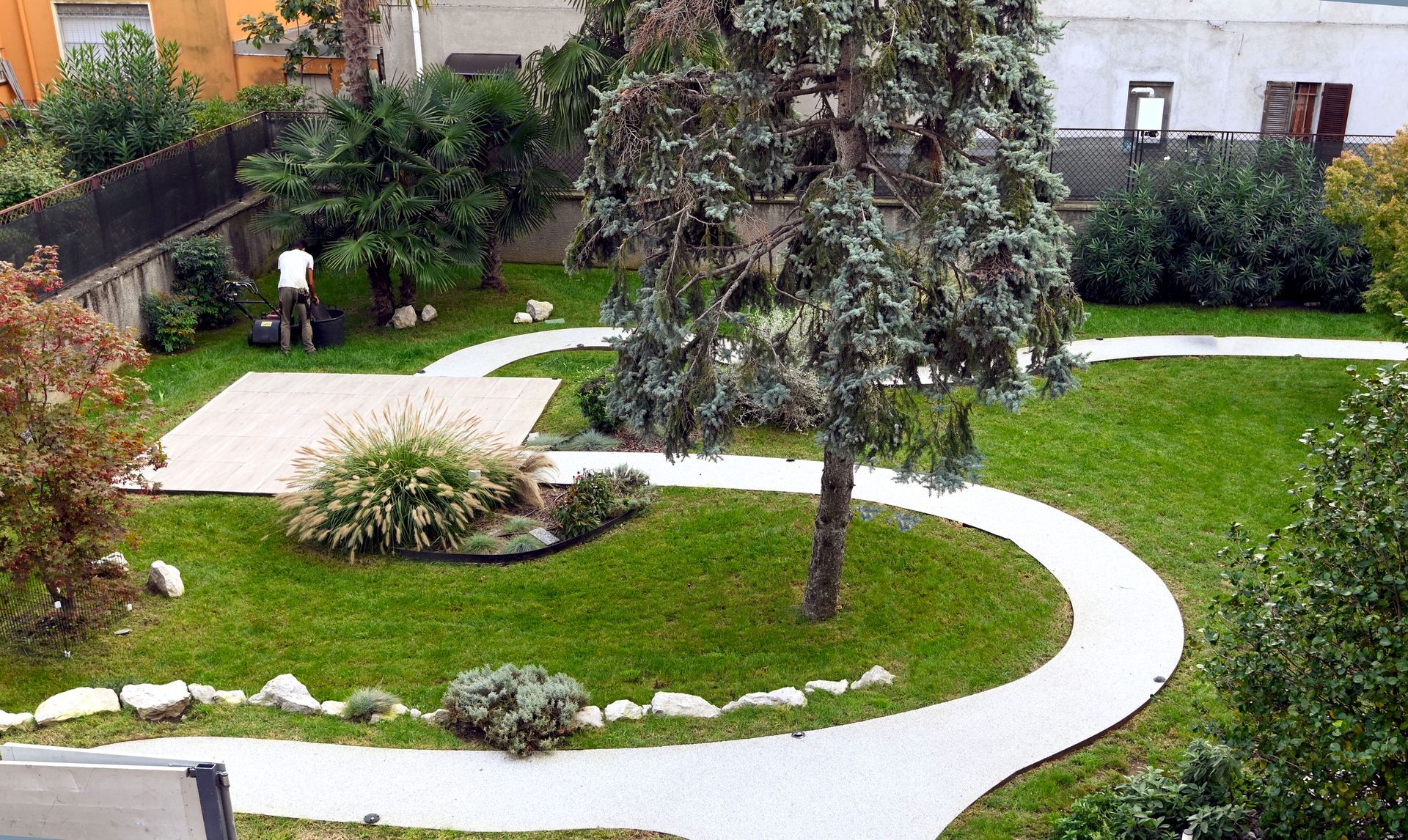 Un giardino con un albero e un sentiero che lo attraversa
