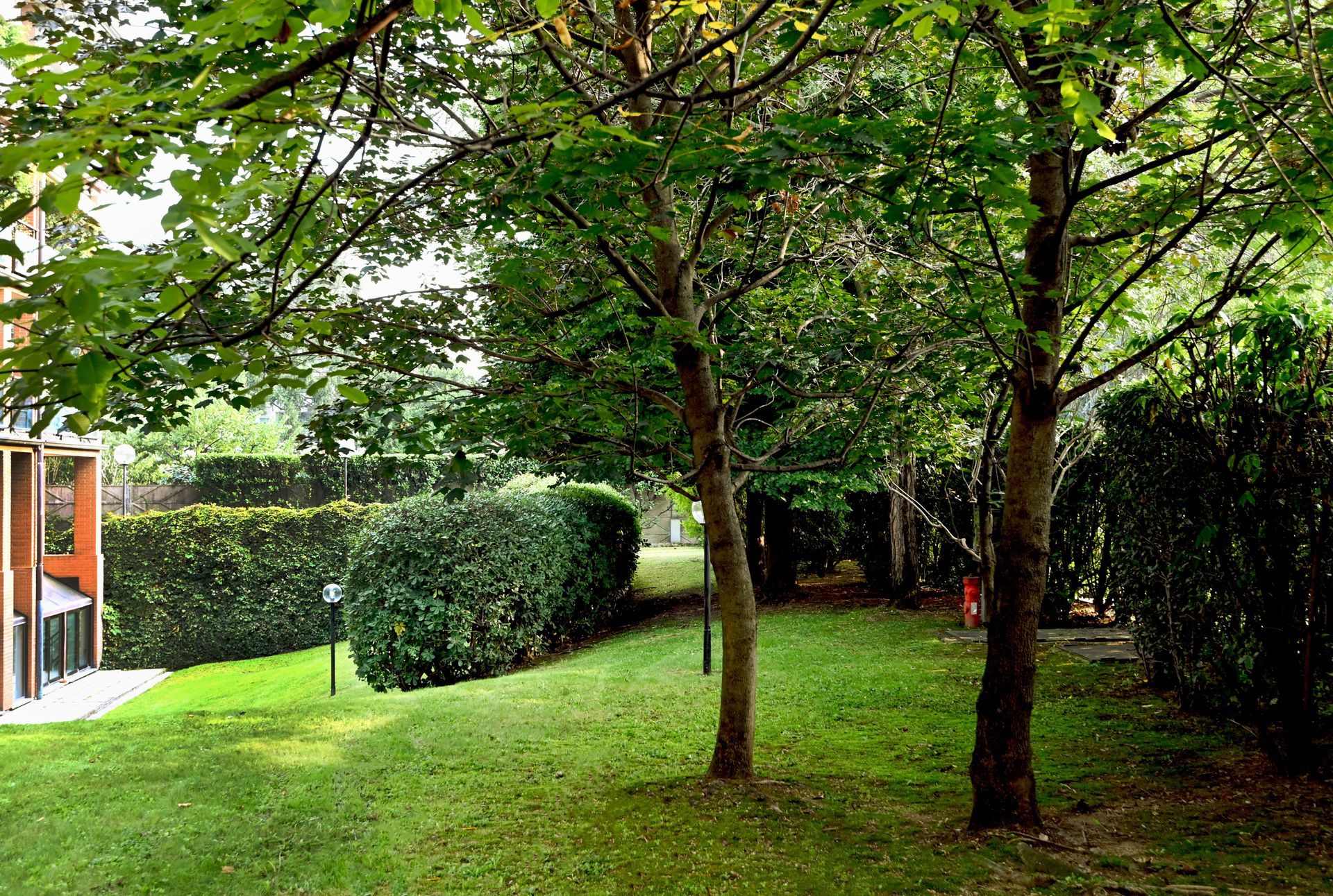 Un cortile verdeggiante con alberi e cespugli e una casa sullo sfondo