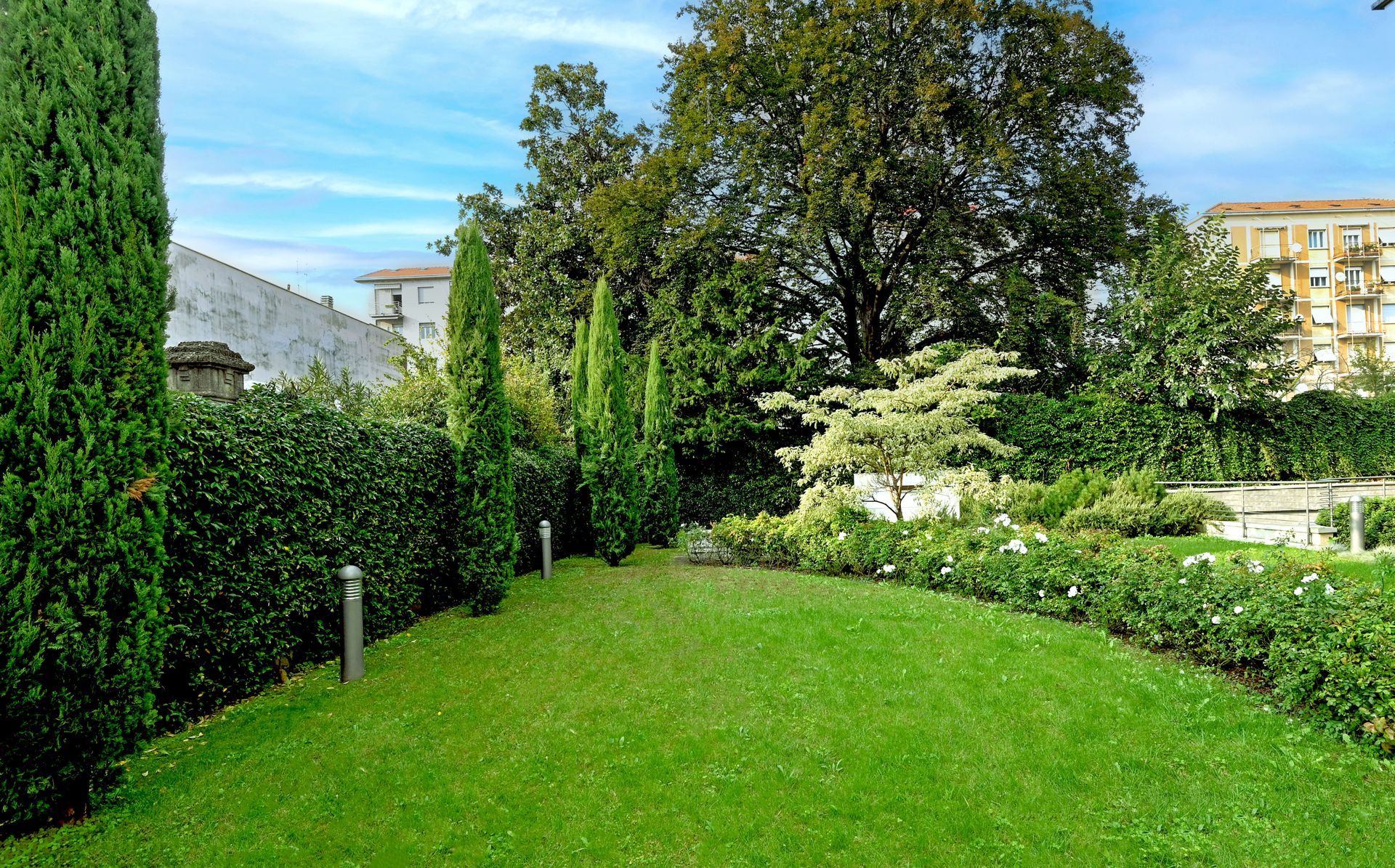 Un prato verde lussureggiante con alberi e cespugli sullo sfondo