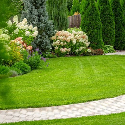 Un prato verde lussureggiante con fiori e alberi in un giardino.