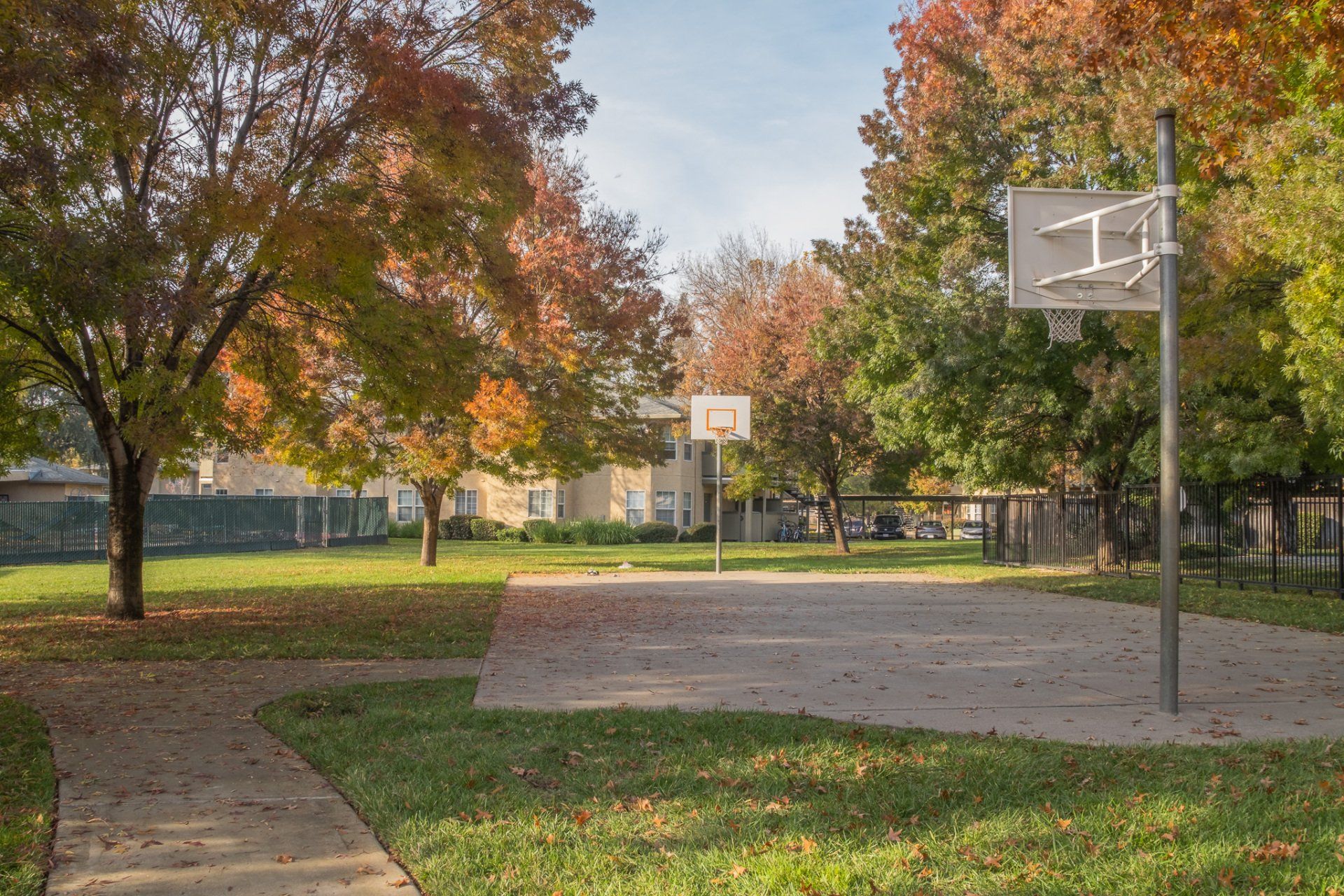 Oak Meadow Basketball Court