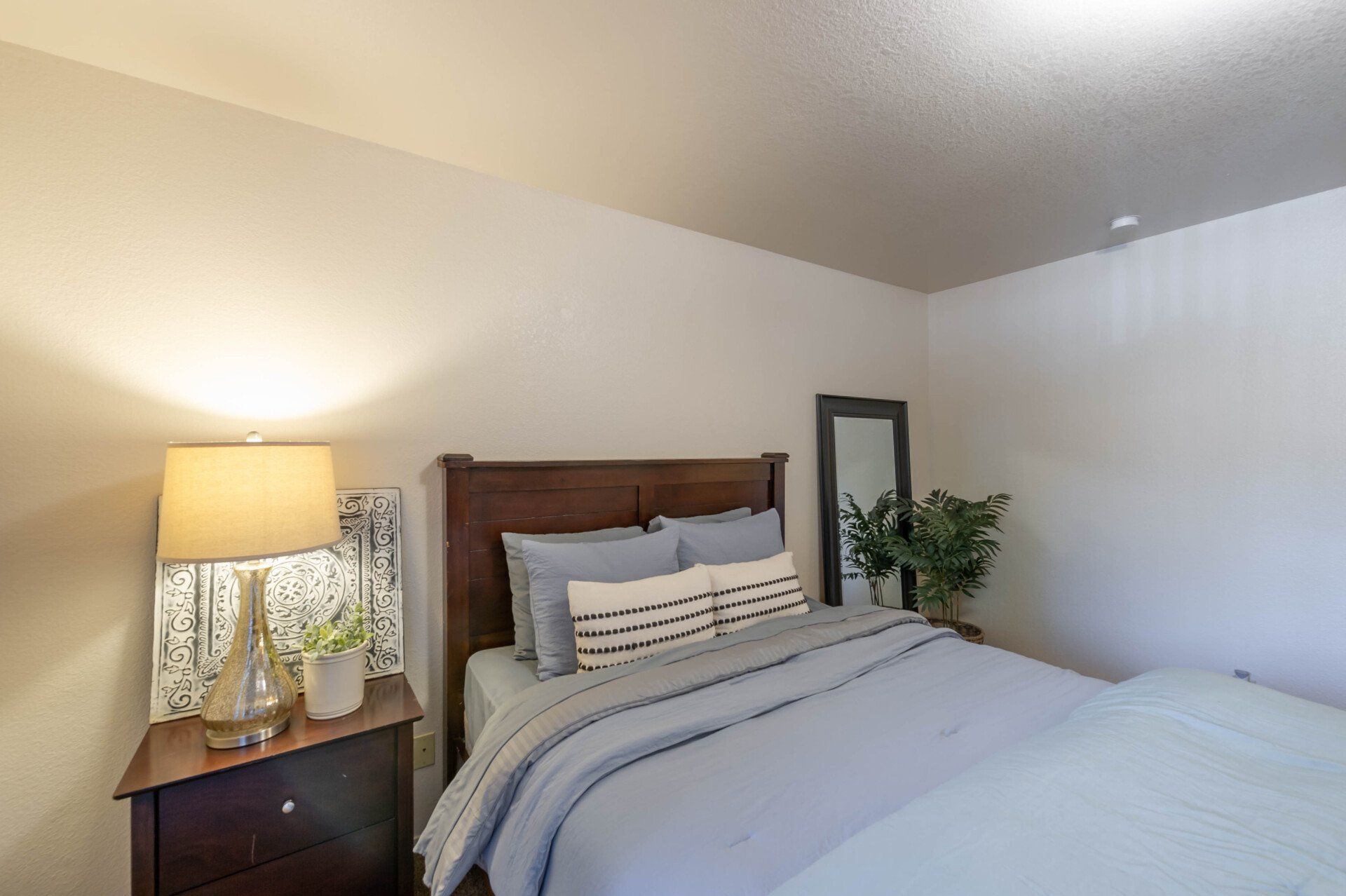 MWS Properties Pine Tree