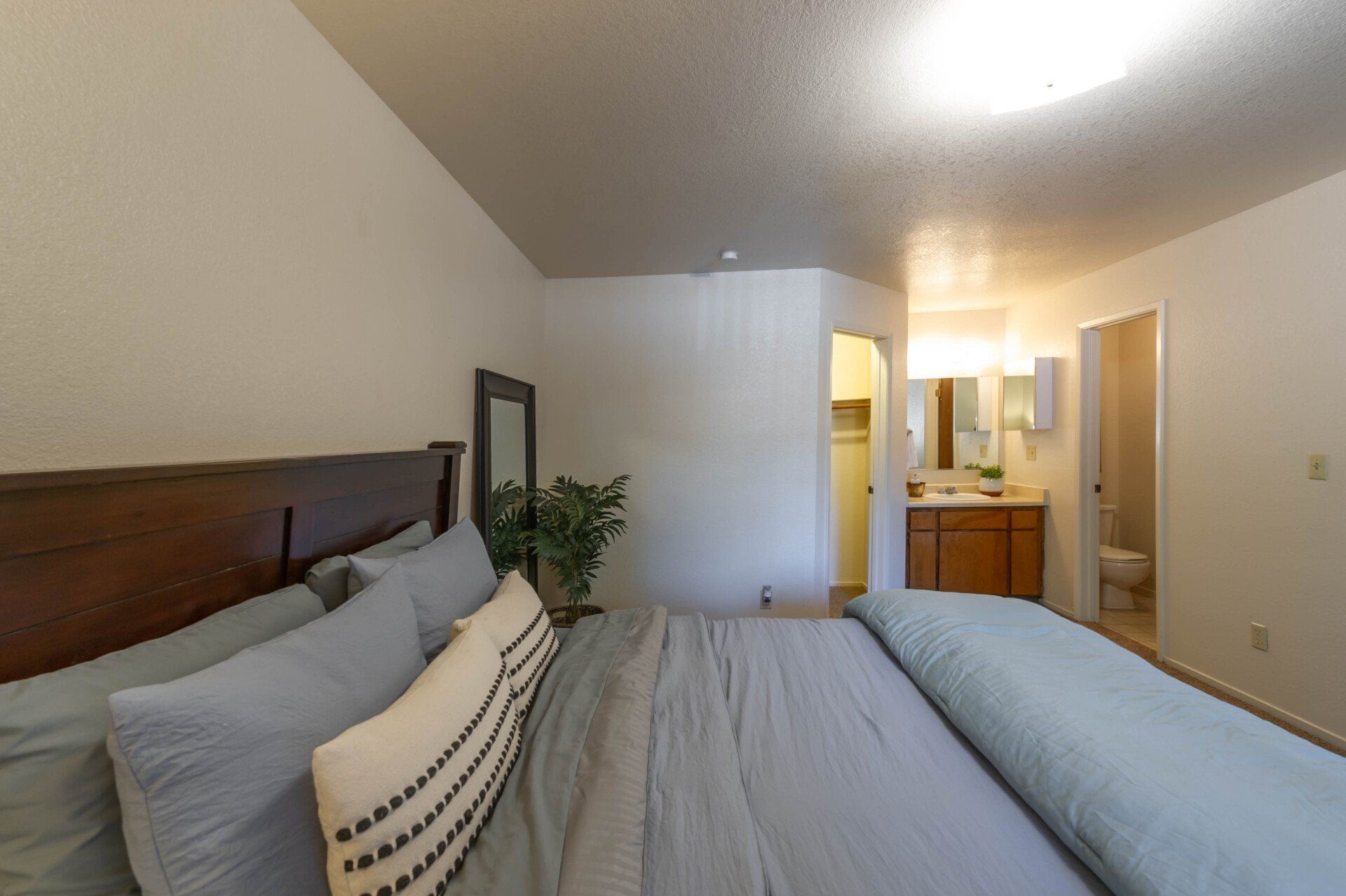 MWS Properties Pine Tree