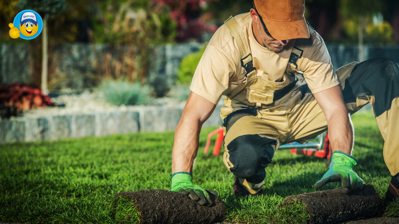 Artificial Grass Landscaping