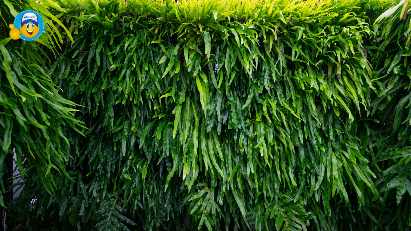 Artificial Vertical Gardens