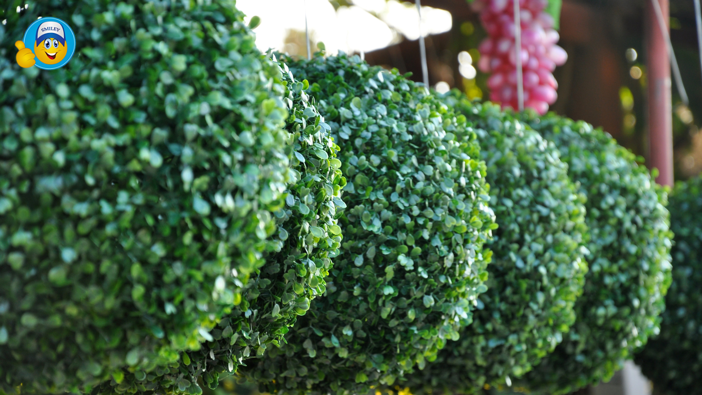 Topiary Balls
